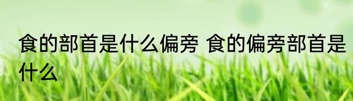 食的部首是什么偏旁 食的偏旁部首是什么