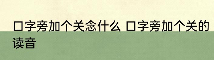 口字旁加个关念什么 口字旁加个关的读音