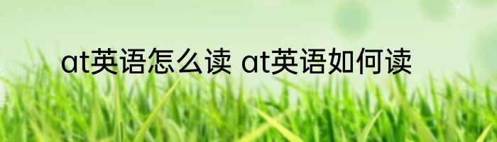 at英语怎么读 at英语如何读