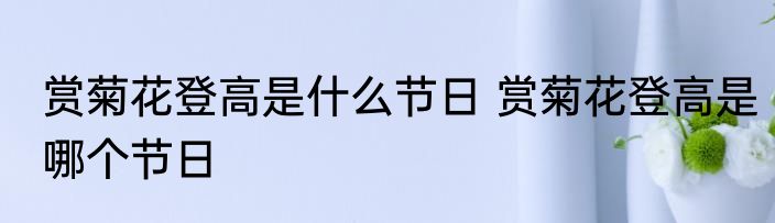 赏菊花登高是什么节日 赏菊花登高是哪个节日
