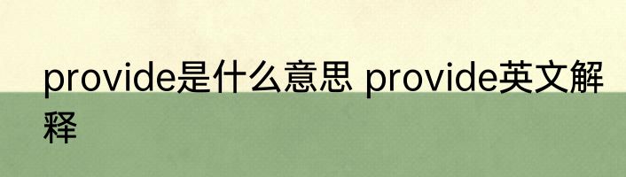 provide是什么意思 provide英文解释
