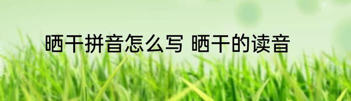 晒干拼音怎么写 晒干的读音