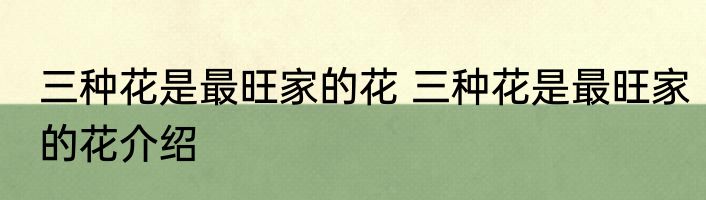 三种花是最旺家的花 三种花是最旺家的花介绍