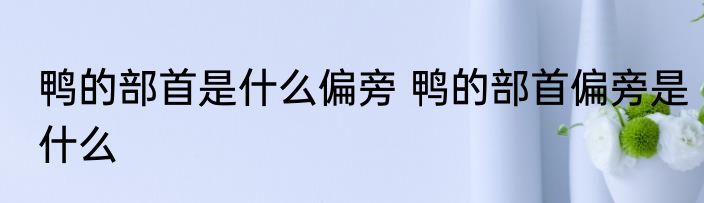鸭的部首是什么偏旁 鸭的部首偏旁是什么