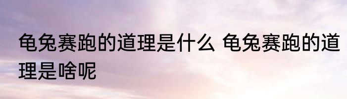 龟兔赛跑的道理是什么 龟兔赛跑的道理是啥呢
