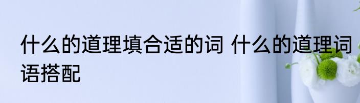 什么的道理填合适的词 什么的道理词语搭配