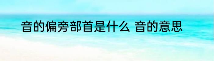 音的偏旁部首是什么 音的意思