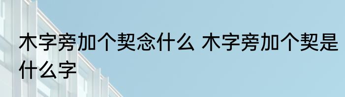 木字旁加个契念什么 木字旁加个契是什么字