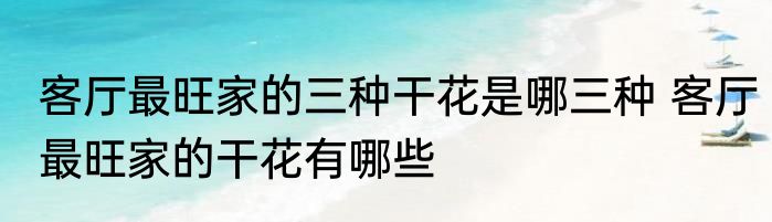 客厅最旺家的三种干花是哪三种 客厅最旺家的干花有哪些