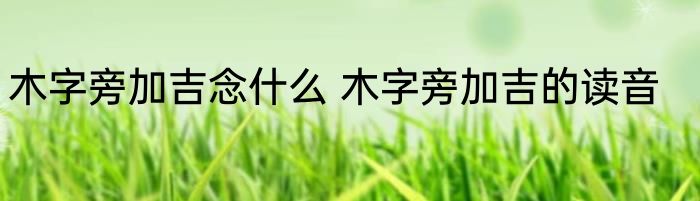 木字旁加吉念什么 木字旁加吉的读音