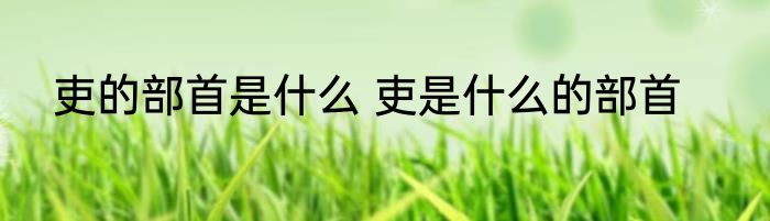 吏的部首是什么 吏是什么的部首