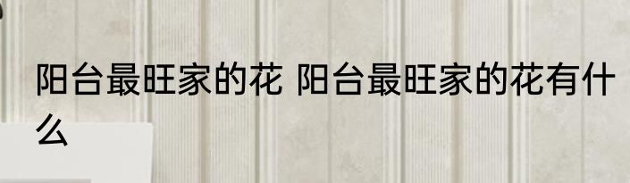 阳台最旺家的花 阳台最旺家的花有什么