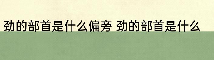 劲的部首是什么偏旁 劲的部首是什么
