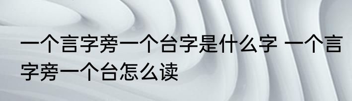 一个言字旁一个台字是什么字 一个言字旁一个台怎么读