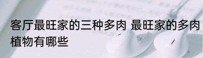 客厅最旺家的三种多肉 最旺家的多肉植物有哪些