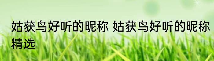 姑获鸟好听的昵称 姑获鸟好听的昵称精选