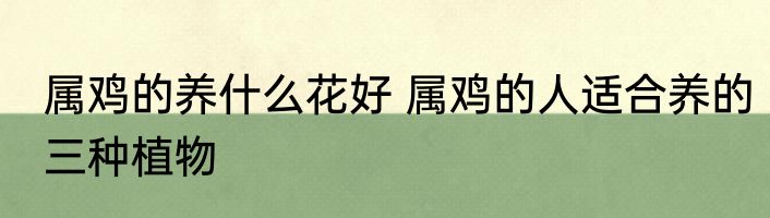 属鸡的养什么花好 属鸡的人适合养的三种植物