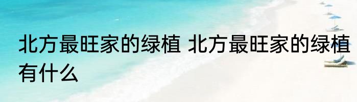 北方最旺家的绿植 北方最旺家的绿植有什么