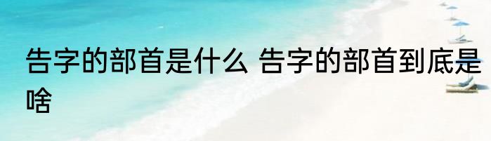 告字的部首是什么 告字的部首到底是啥