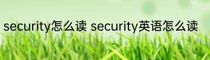 security怎么读 security英语怎么读
