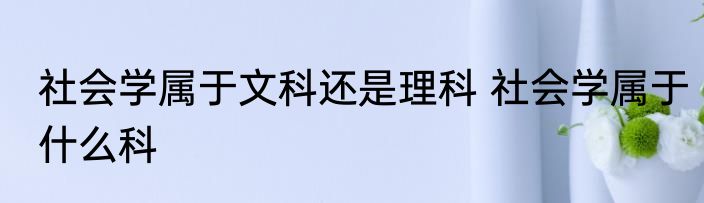 社会学属于文科还是理科 社会学属于什么科