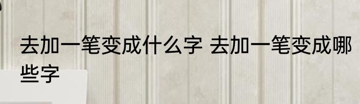 去加一笔变成什么字 去加一笔变成哪些字