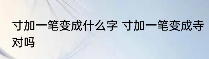 寸加一笔变成什么字 寸加一笔变成寺对吗