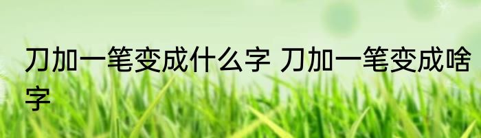 刀加一笔变成什么字 刀加一笔变成啥字