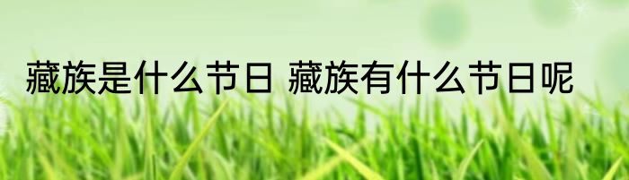 藏族是什么节日 藏族有什么节日呢