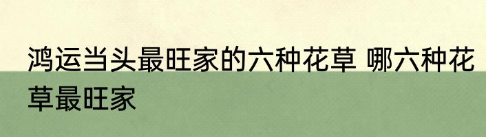 鸿运当头最旺家的六种花草 哪六种花草最旺家