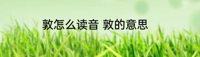 敦怎么读音 敦的意思