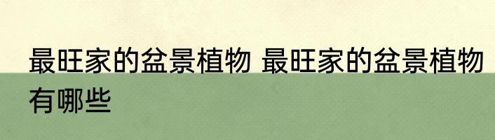 最旺家的盆景植物 最旺家的盆景植物有哪些