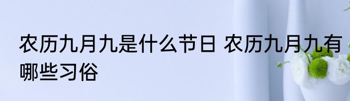 农历九月九是什么节日 农历九月九有哪些习俗