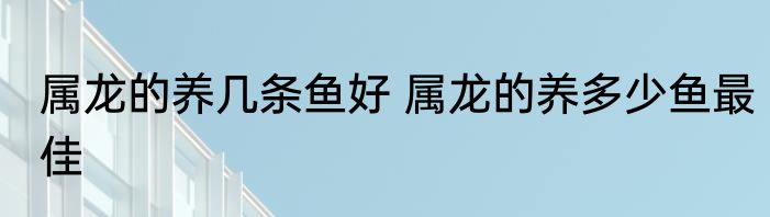 属龙的养几条鱼好 属龙的养多少鱼最佳