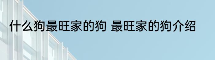 什么狗最旺家的狗 最旺家的狗介绍