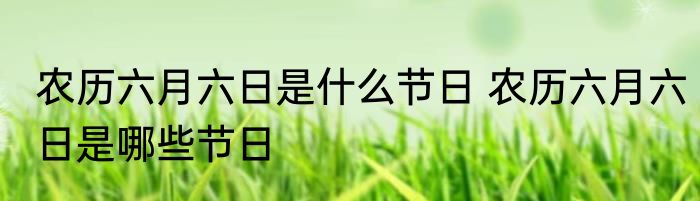 农历六月六日是什么节日 农历六月六日是哪些节日