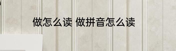做怎么读 做拼音怎么读