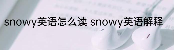 snowy英语怎么读 snowy英语解释