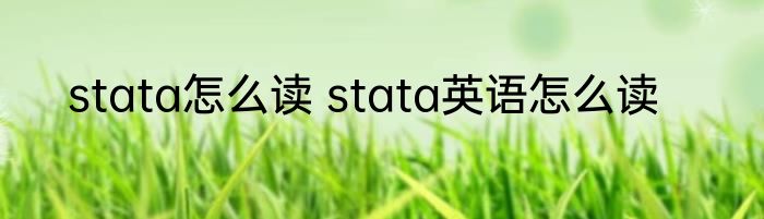 stata怎么读 stata英语怎么读