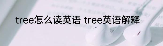 tree怎么读英语 tree英语解释