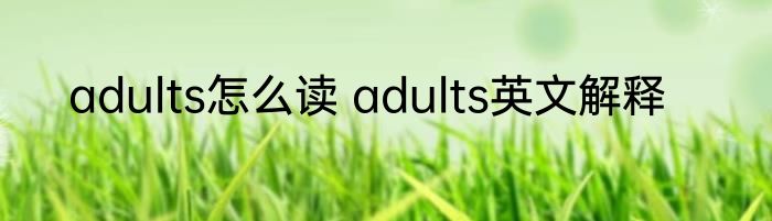 adults怎么读 adults英文解释