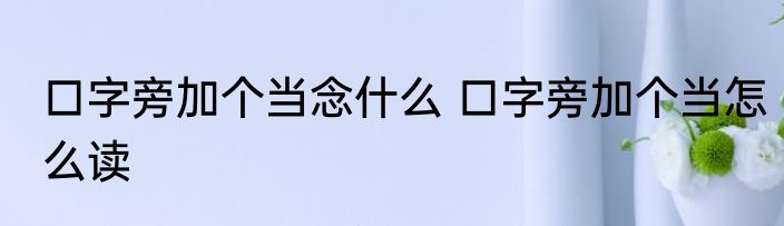 口字旁加个当念什么 口字旁加个当怎么读