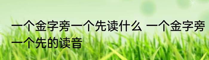 一个金字旁一个先读什么 一个金字旁一个先的读音