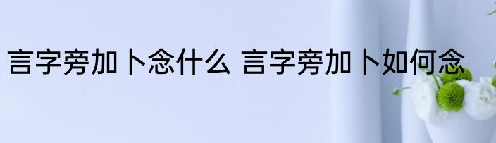 言字旁加卜念什么 言字旁加卜如何念