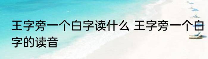 王字旁一个白字读什么 王字旁一个白字的读音
