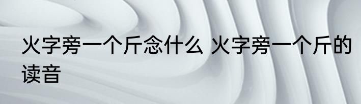 火字旁一个斤念什么 火字旁一个斤的读音