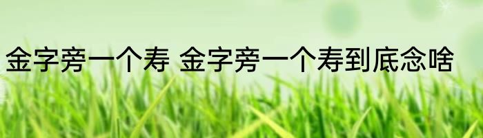 金字旁一个寿 金字旁一个寿到底念啥