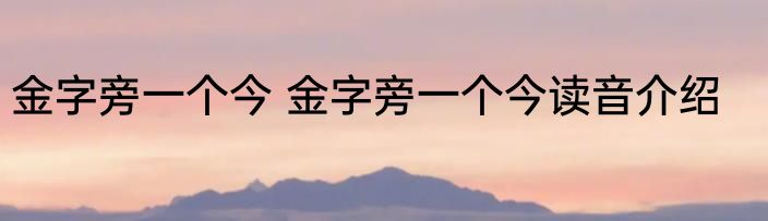 金字旁一个今 金字旁一个今读音介绍