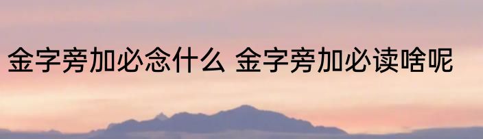 金字旁加必念什么 金字旁加必读啥呢