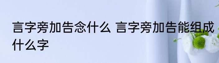 言字旁加告念什么 言字旁加告能组成什么字